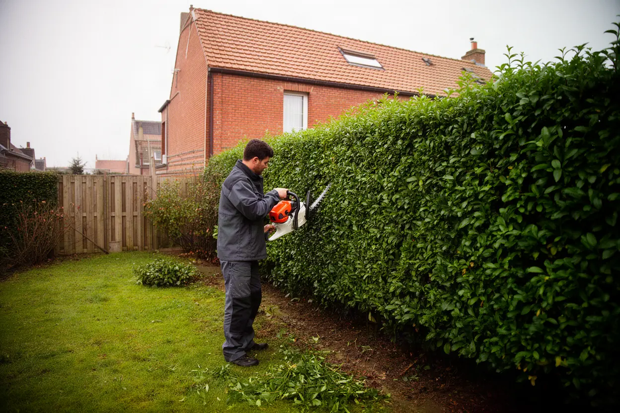 Paysagiste taillant une haie dans un jardin de Rosendael